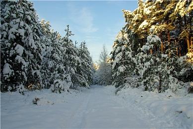 PS和微软商城出现《战地2042》测试版文件 公测或即将开启